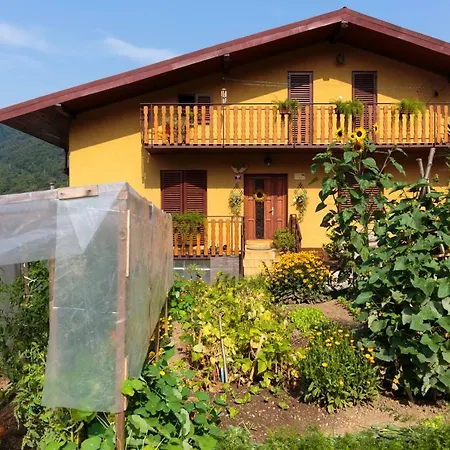 Herbal Homestay *