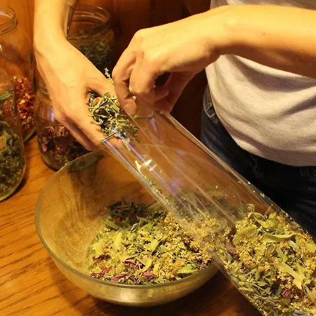 Herbal Homestay * Deskle