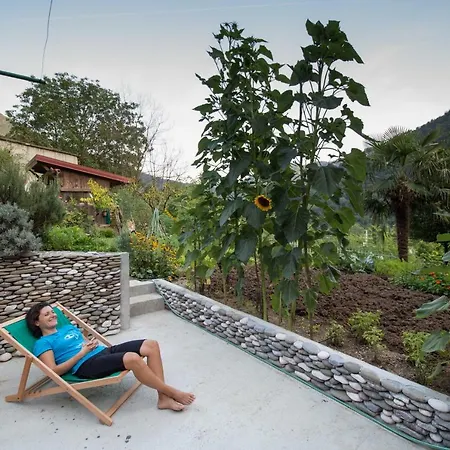 Homestay Herbal Homestay *